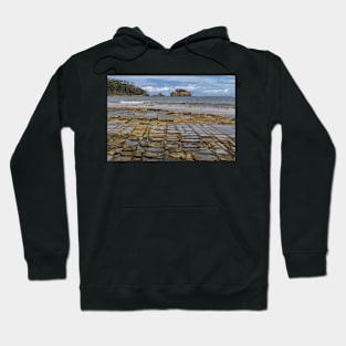 Tesselated Pavement Hoodie